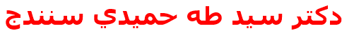 دكتر سيد طه حميدي سنندج