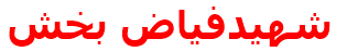 شهيدفياض بخش