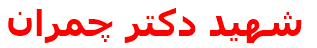 شهيد دكتر چمران
