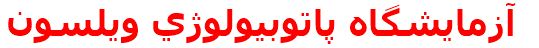 آزمايشگاه پاتوبيولوژي ويلسون